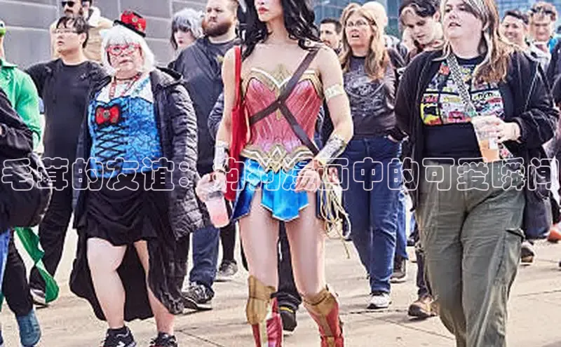 囧次元官方网站入口下载